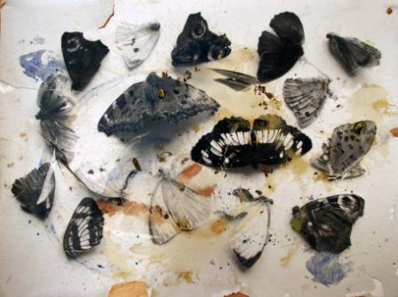 MARIELIS SEYLER, Trampelbild Schmetterlinge 3, 2014, Fotoemulsion auf Barytpapier, 110x150cm