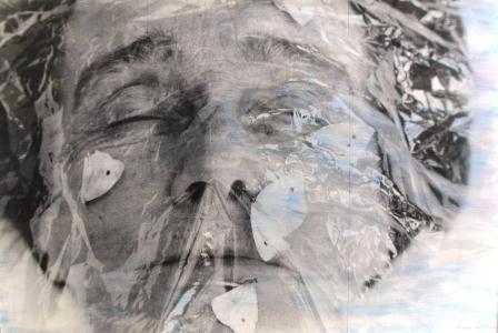 MARIELIS SEYLER, La mére, Fotoemulsion auf Barytpapier, Blauwurz, 180x265cm