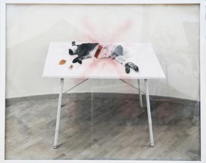 MARIELIS SEYLER, Hase auf Tisch, aus natura naturata, 1994, Fotoemulsion auf Barytpapier, Collage, Kreide, 76x100cm