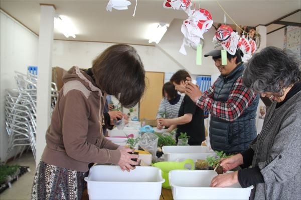 宮古市中央通り商店街でハイドロカルチャーづくり