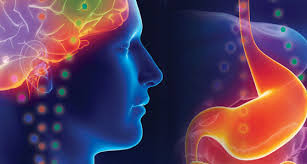 Anneau gastrique virtuel Anneau gastrique virtuel