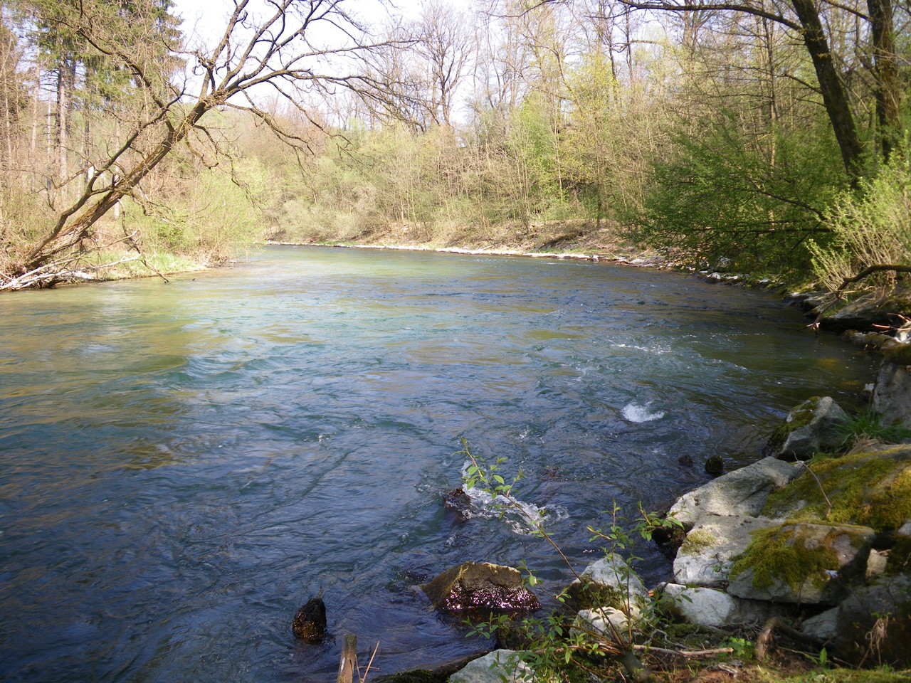 Frühjahr an der Ager