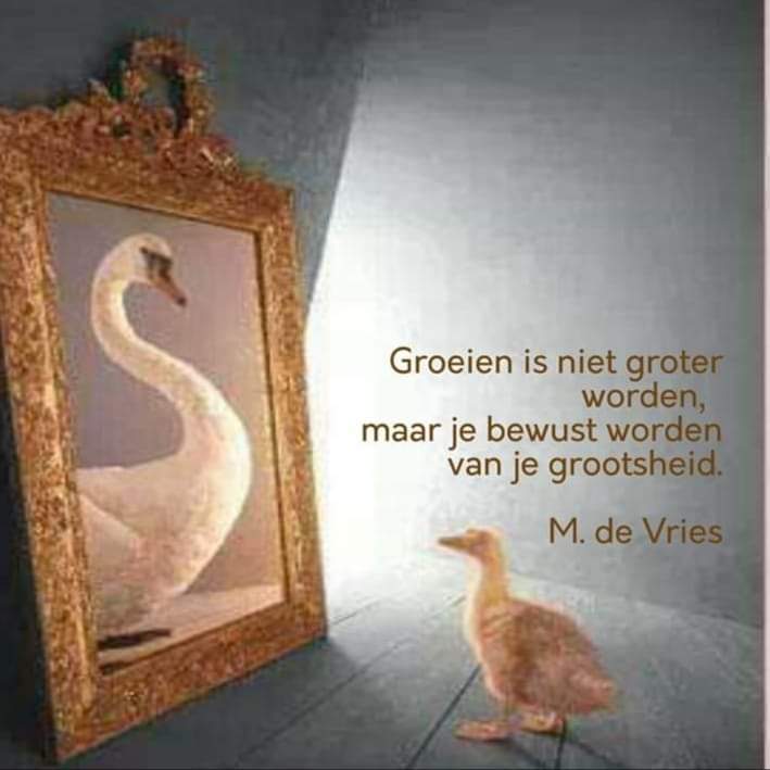 Hou van jezelf? Hóe dan?!