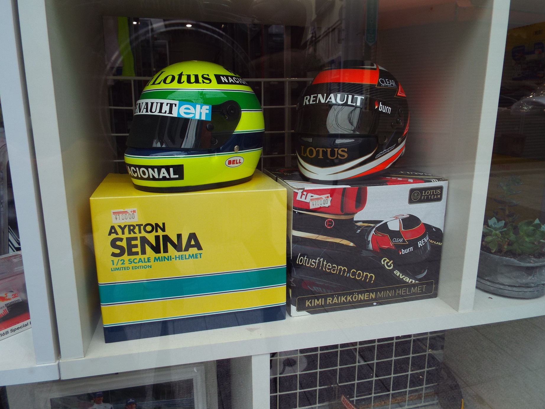 SIGNASS F1コレクション シグナス TEL 03-3388-0262 - 薬師あい SIGNASS F1コレクション シグナス TEL 03-3388-0262 - 薬師あい