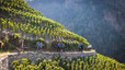 How Europe’s highest vineyard ended up with 500 owners and Indian connections
