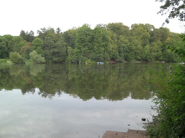 Oberwaldhaus & Steinbrücker Teich Drombuschs.de