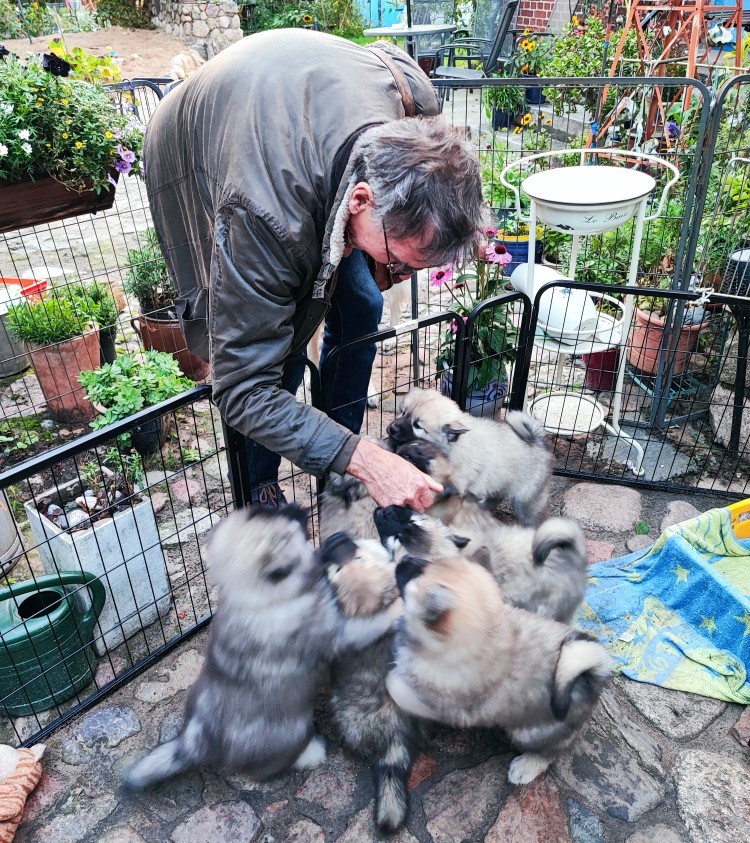 Unser liebster & bester HuDad ist nach Hause gekommen! Ein Grund für unsere berüchtigten Party Einlagen! Hat Mama uns gezeigt und sie war nicht zu überhören davor! 