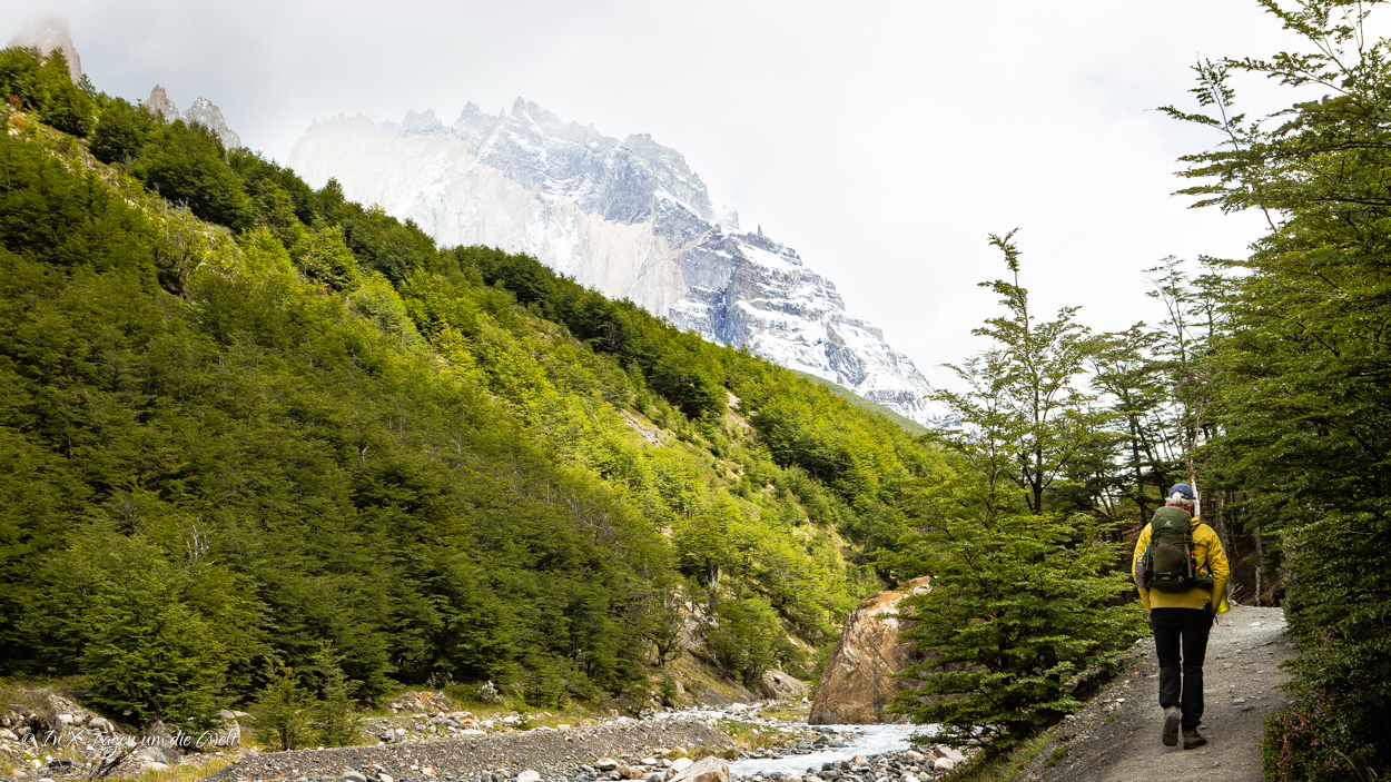 Der W Trek im Torres del Paine Nationalpark
