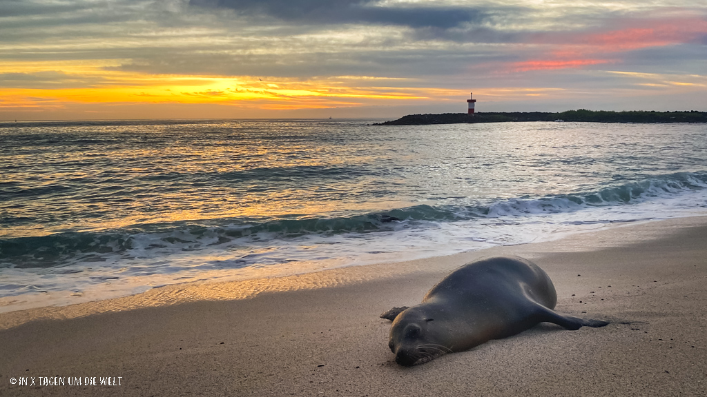 San Cristobal Galapagos Inseln