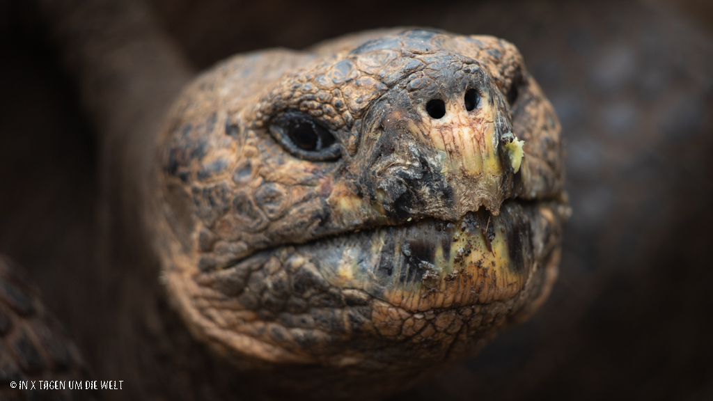 San Cristobal Galapagos Inseln