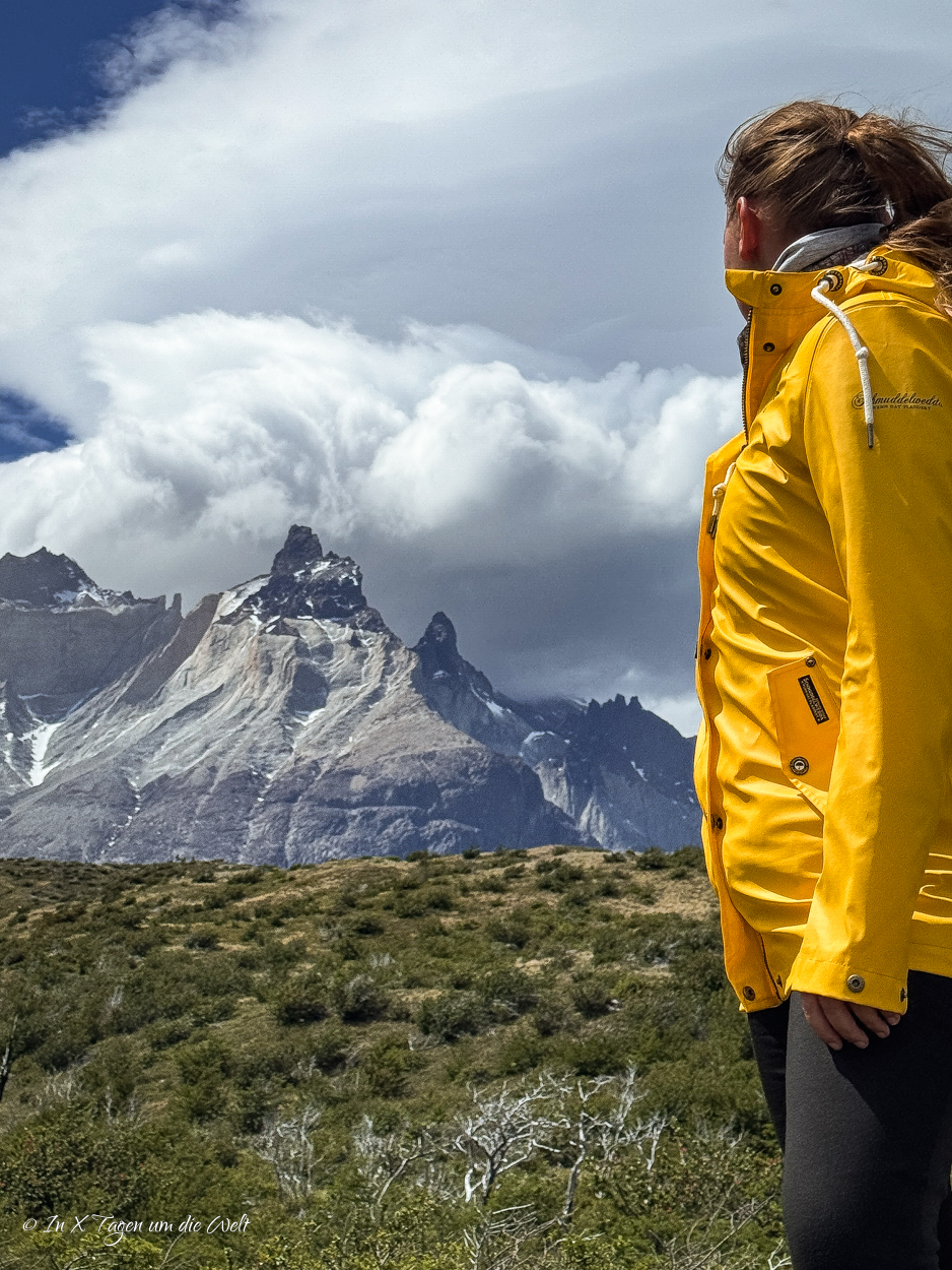 Der W Trek im Torres del Paine Nationalpark