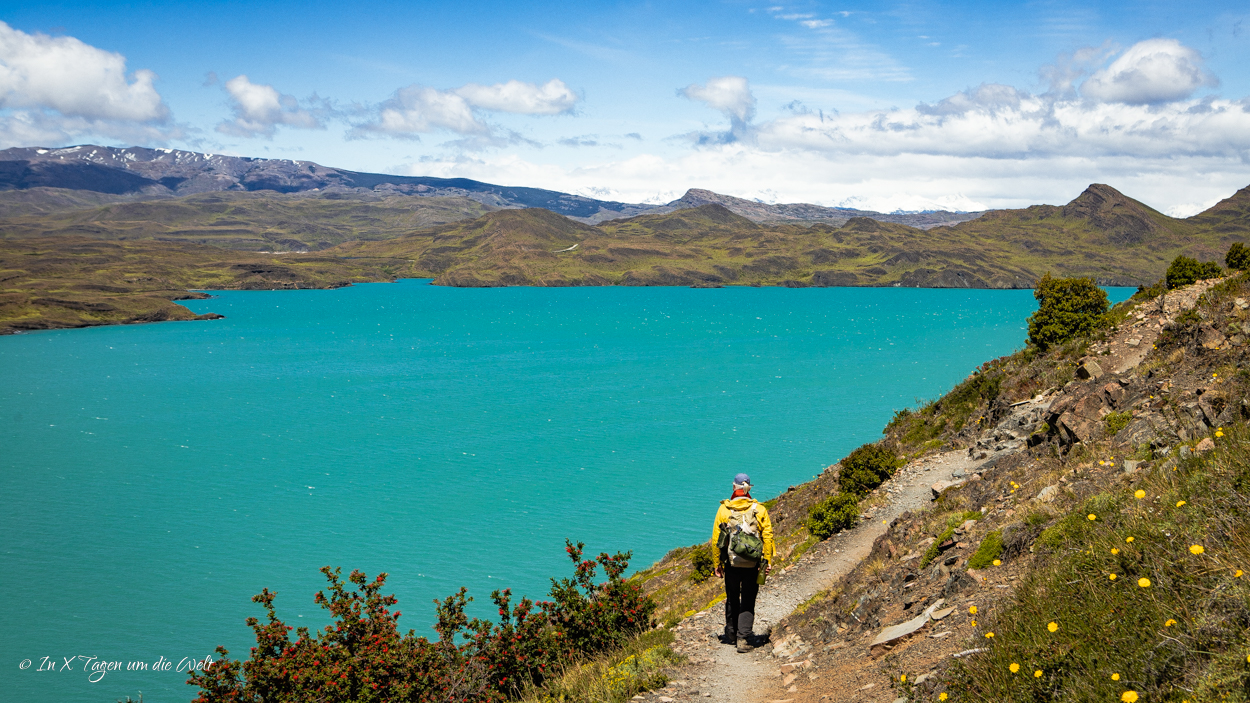 Der W Trek im Torres del Paine Nationalpark