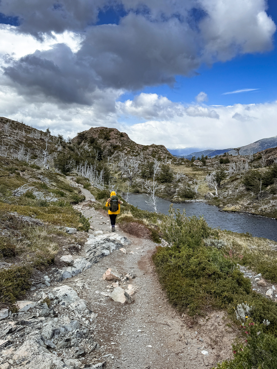 Der W Trek im Torres del Paine Nationalpark