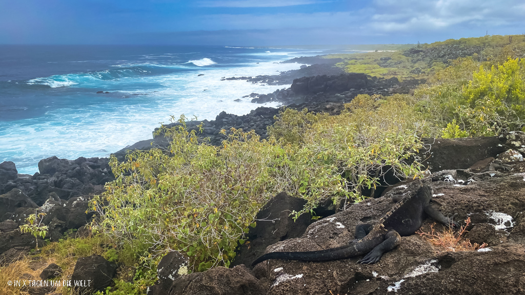 San Cristobal Galapagos Inseln