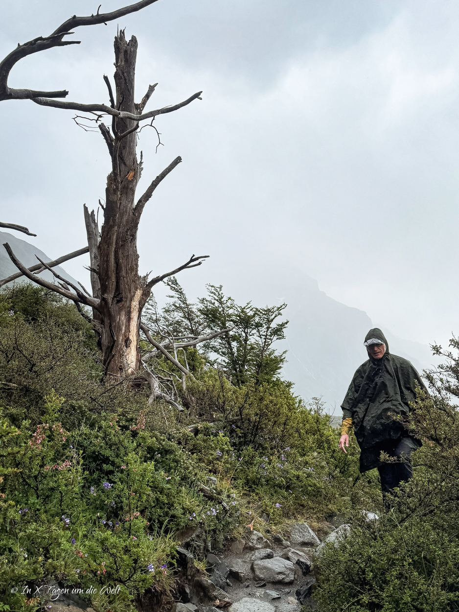 Der W Trek im Torres del Paine Nationalpark