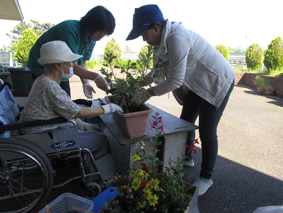 植物療法士・五十嵐さんのご支援の下、プランターに植えていきます