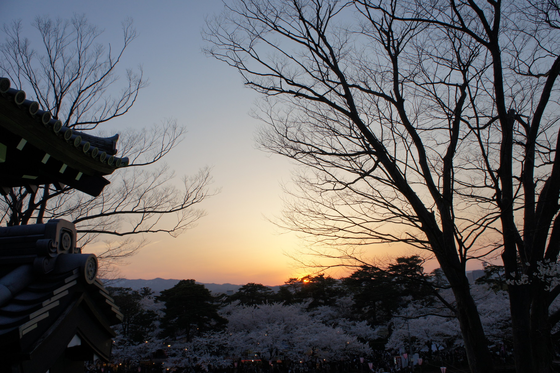 夕暮れどき。いよいよ夜桜のスタート