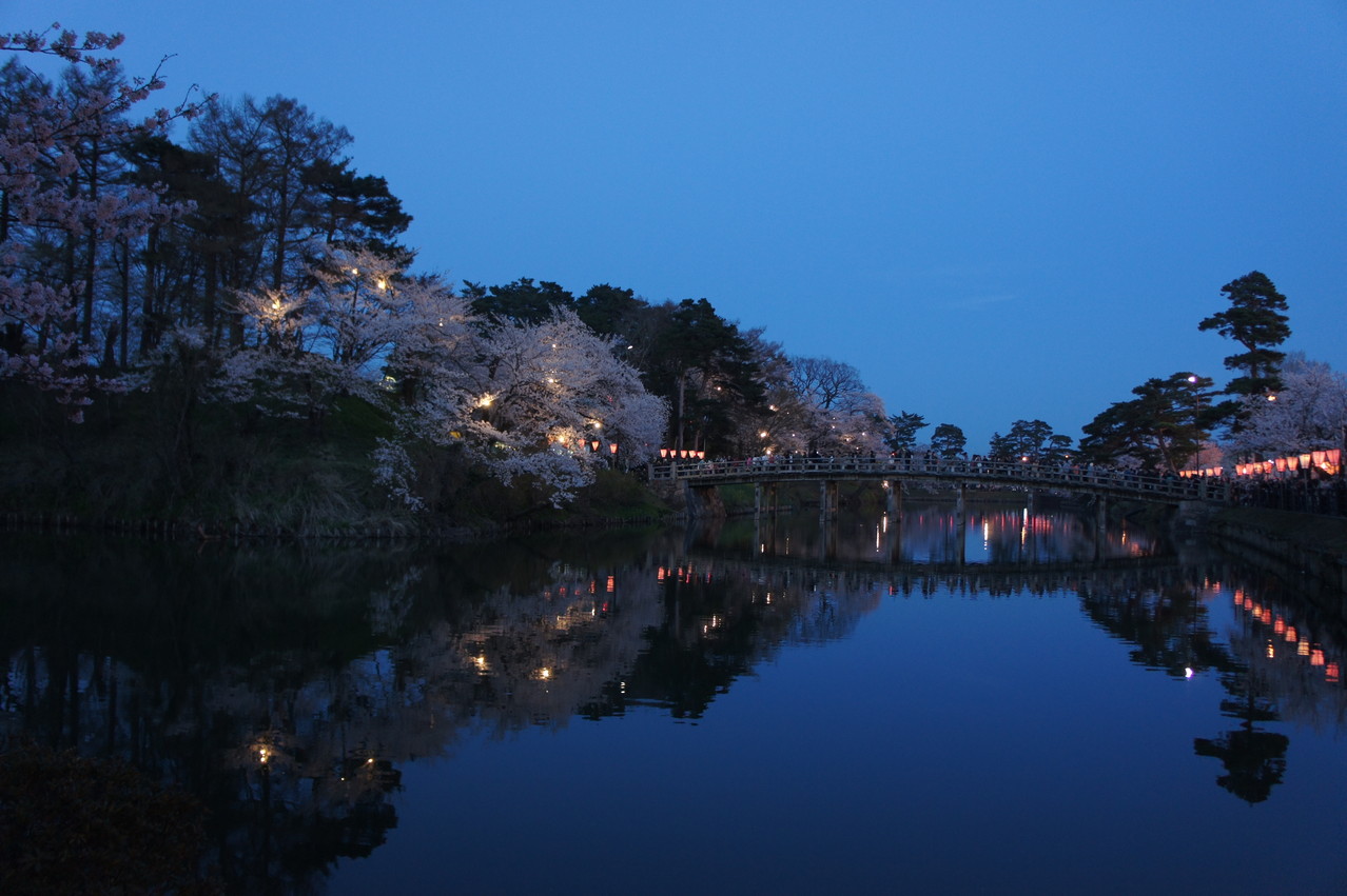 お堀に浮かぶ桜たち