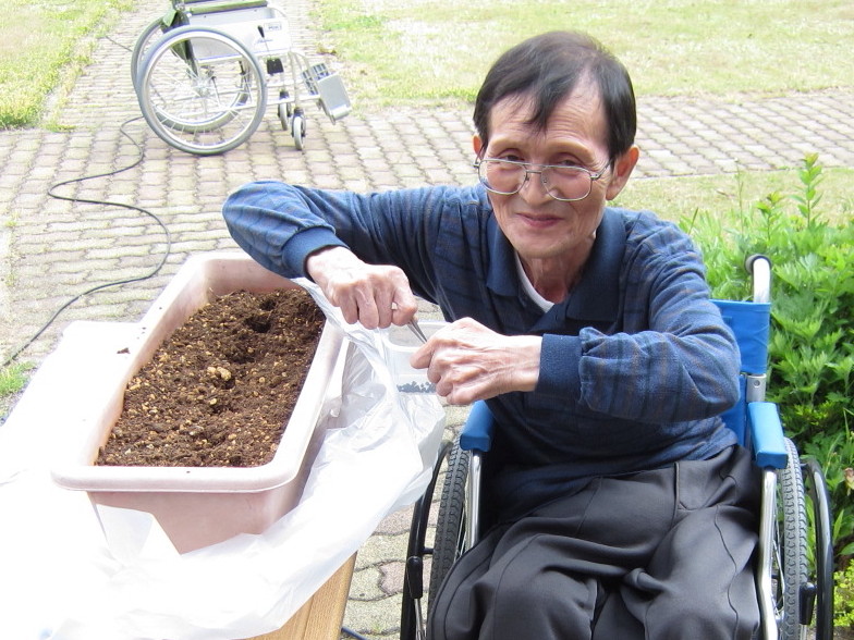 小さな種をピンセットでつまんで植えます