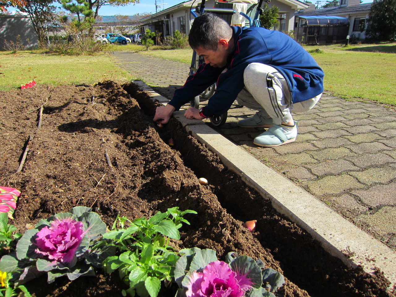 次は何を植えているのでしょうか