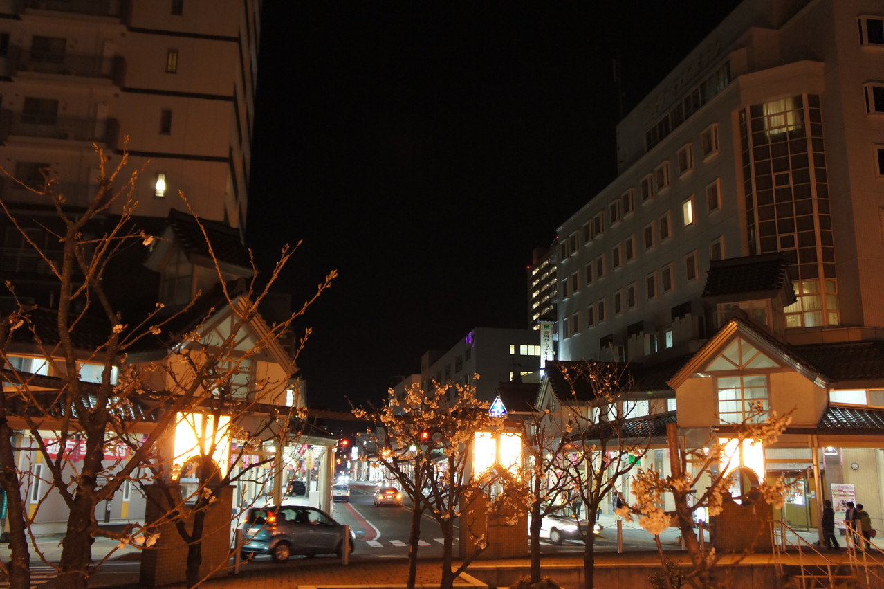 今しか味わえない華やかな夜