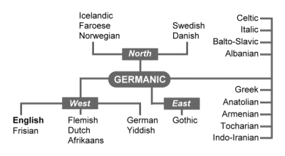 English is a member of the Germanic family of languages. Germanic is a branch of the Indo-European language family.
