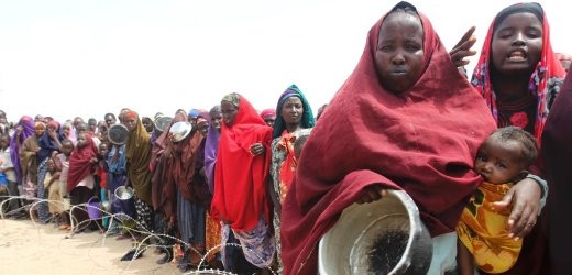 Somalian refugees at a camp in Kenya: "We need sustainable agriculture tailored to regional conditions."
