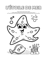 Exemple de page : Étoile de mer