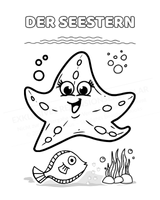 Seitenbeispiel: Seestern