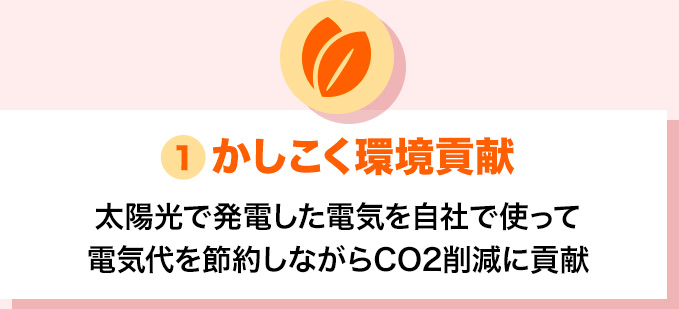 かしこく環境貢献 電気代を節約しながらCO2削減