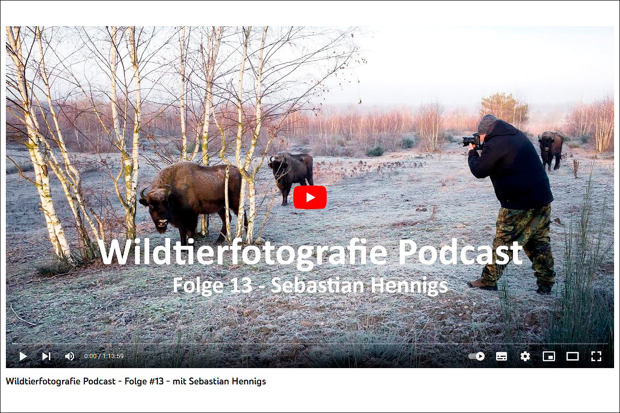 Zu Gast im Wildtierfotografie Podcast