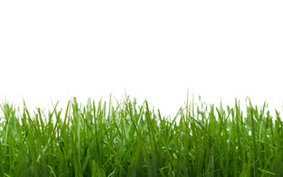 Gartenpflege
