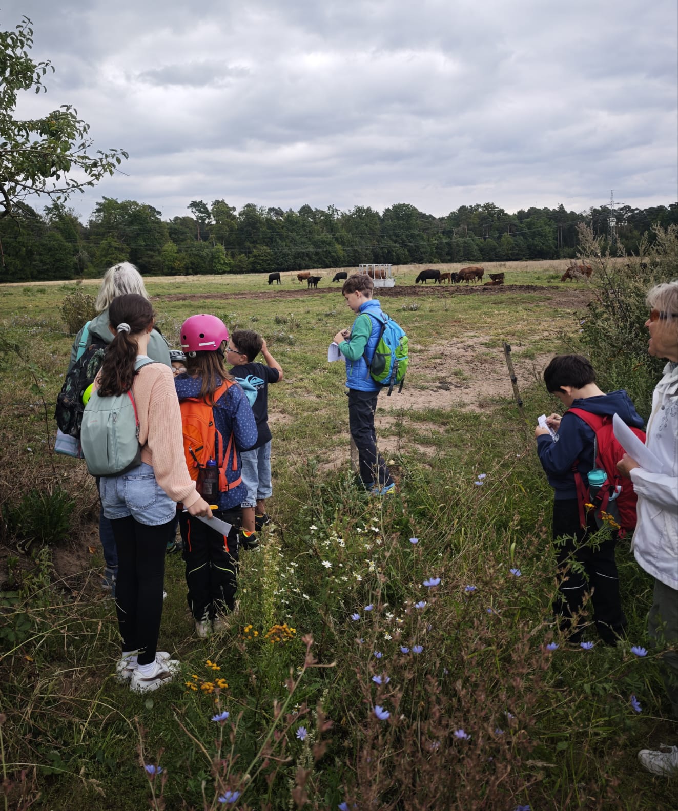 An der Weide 