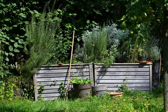 Dufthochbeet im August, Foto: Birgit Emig