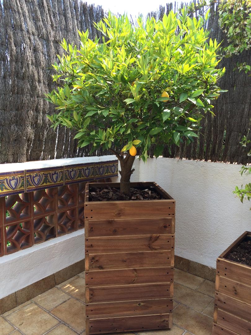 jardineras