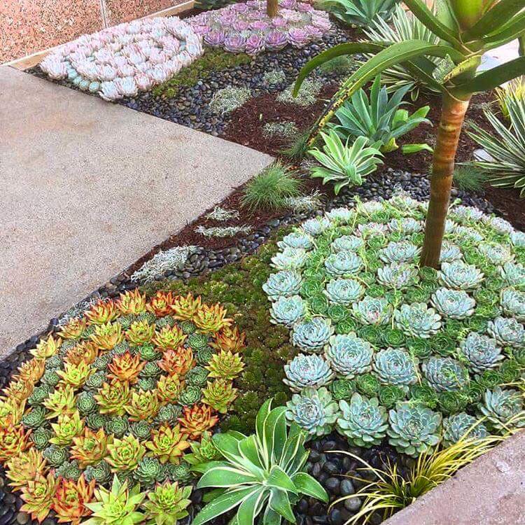 JARDIN CON SUCULENTAS jardineras de madera
