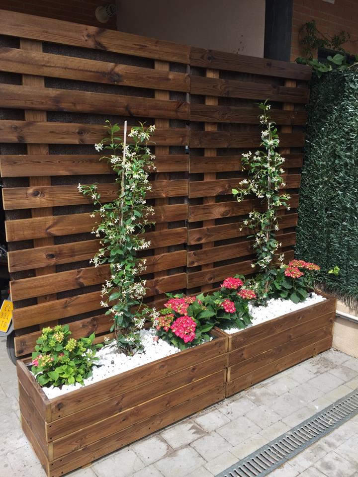 jardinera + celosia