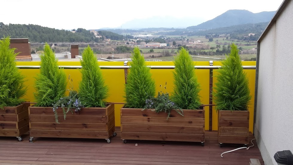 jardineras