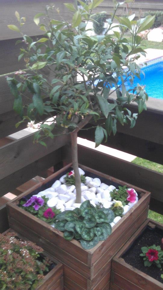 jardineras