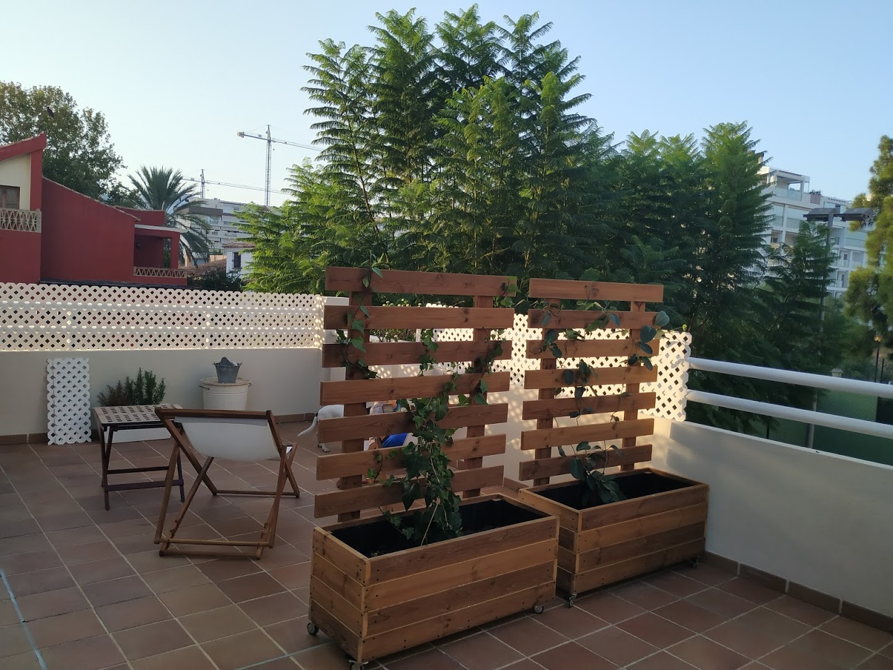 jardinera + celosia