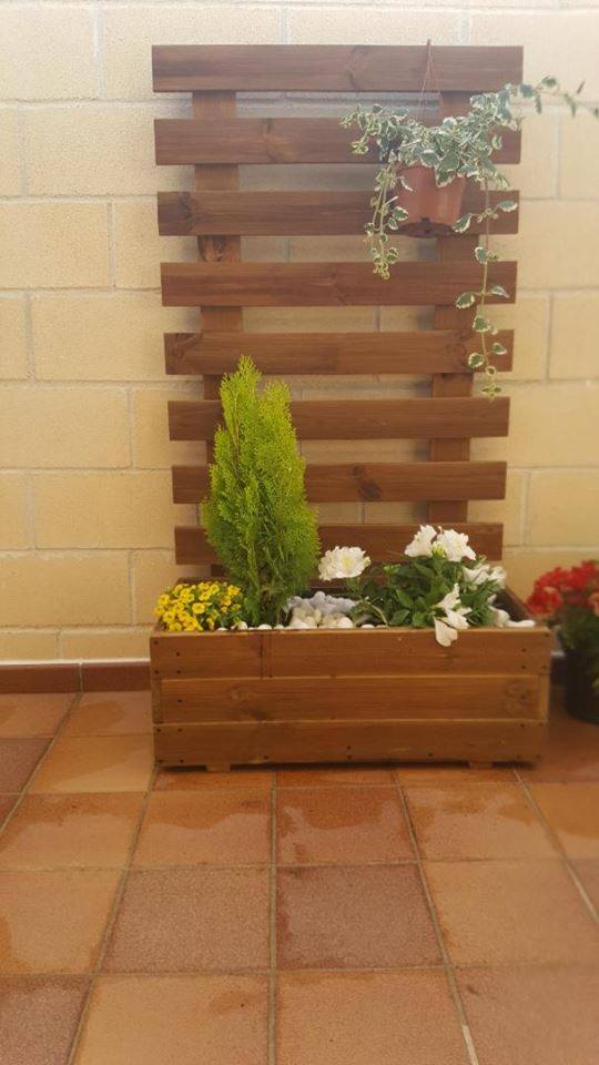 jardinera + celosia