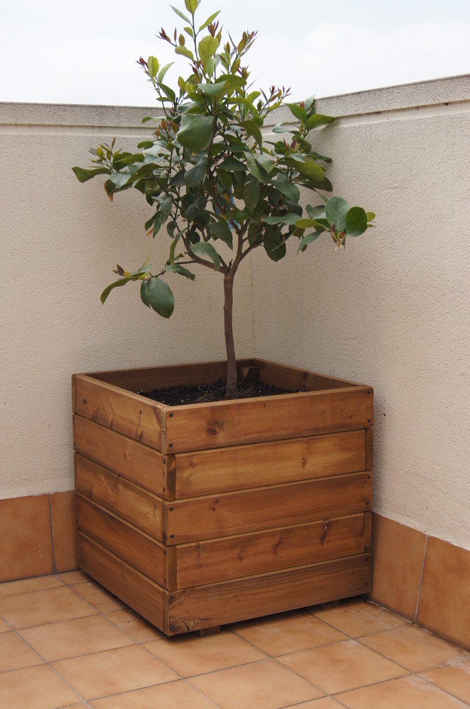 jardineras