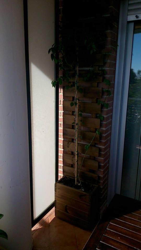 jardineras