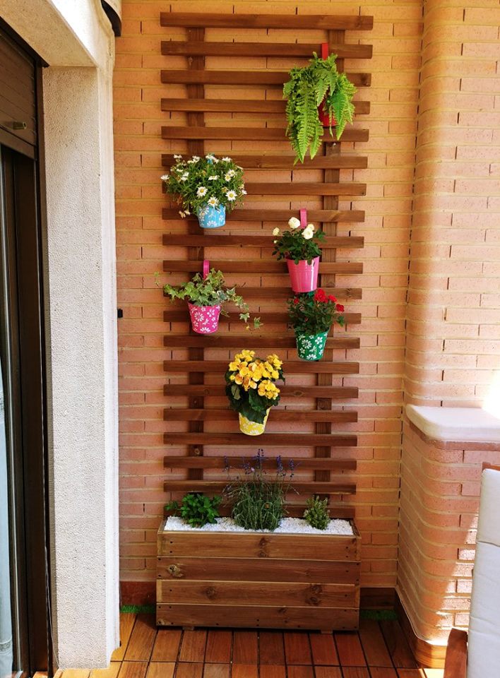 jardinera + celosia