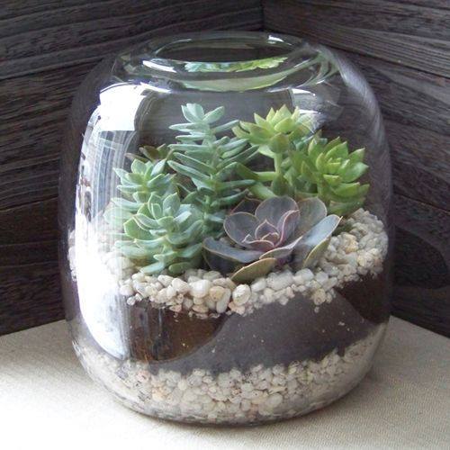 Terrario