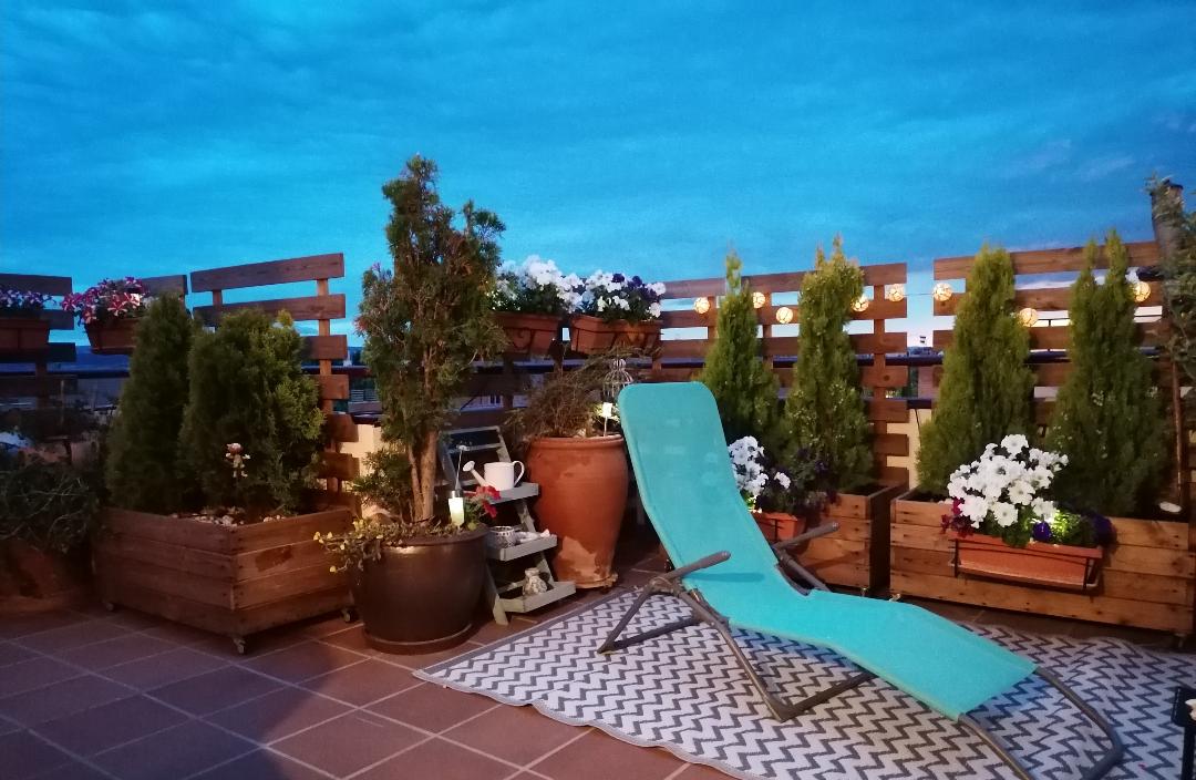 jardineras + celosias