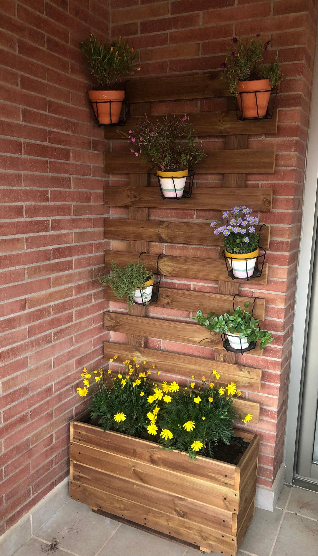jardinera + celosia 