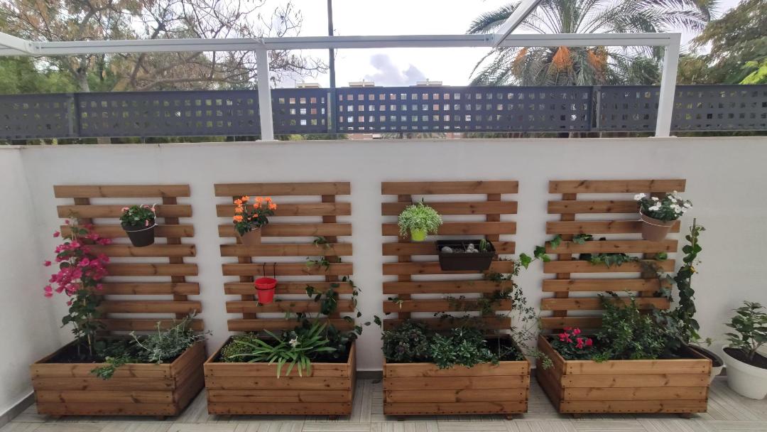 jardinera + celosia 