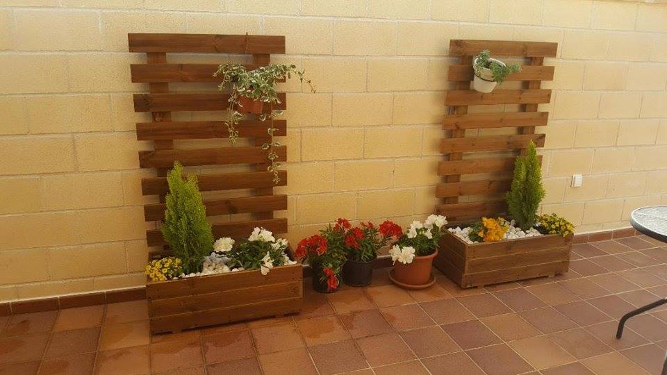 jardinera + celosia