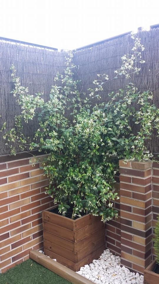 jardineras